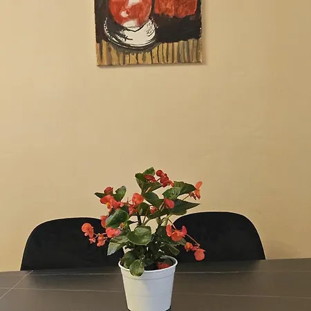 Apartment Ela 1 Tirana