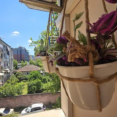 Apartamento Ela 1 *